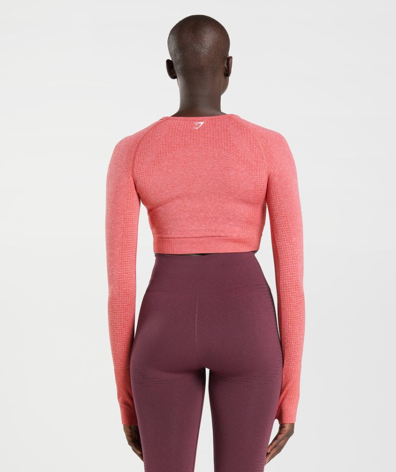 Women's Gymshark Vital Seamless 2.0 Cropped Tops Pink | CA 153AND